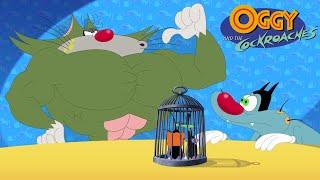 Oggy and the Cockroaches - Jack to the rescue  (SEASON 7) BEST CARTOON COLLECTION | Episodes in HD