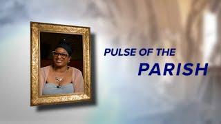 Pulse of The Parish: St. Bonaventure-St. Benedict The Moor