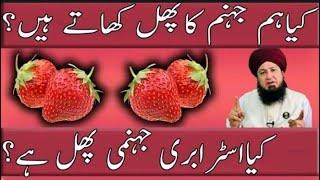 Are Strawberries the Fruit of Hell? | Mufti Sahab's Quranic Proof | BATOOL Reacts