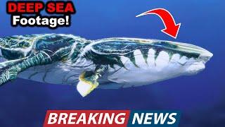 Scientists JUST Discovered a NEW Deep Sea Super Predator in the Black Sea and It May Not Be Alone!