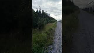 Поездка. Ч. 2. Белоостров.