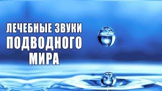 Медитация Лечебные Звуки Подводного Мира  Улучшение Общего Состояния  Снятие Стресса  Звуки Воды