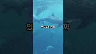 세계에서 가장 아름다운 드라이브 코스 #지식 #여행 #korean #travel