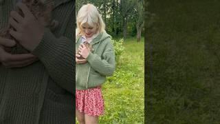 Милый комочекпришли с леса и сидели в клубнике