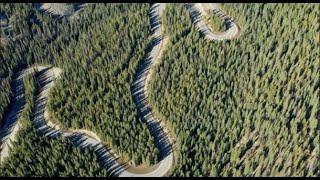 Scenic Autumn drives Cottonwood Pass Buena Vista Colorado