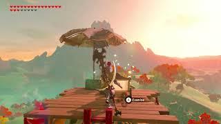 Infinite Korok Seed Glitch - The Legend of Zelda Breath of the Wild