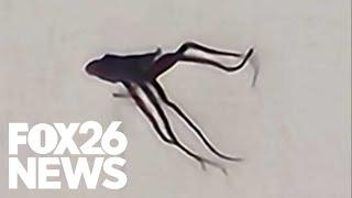 Creepy alien-looking object seen flying in Central California