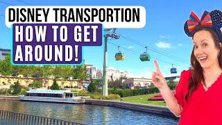 The Ultimate Guide To Enjoy Disney Transportation From Your Disney Resort