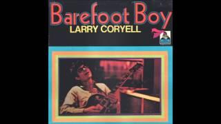 Larry Coryell - Call To The Higher Conciousness