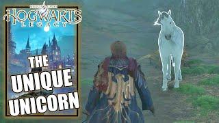 Hogwarts Legacy - The Unique Unicorn