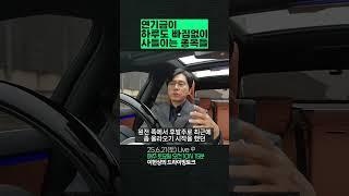 연기금이 하루도 빠짐없이 사들이는 종목들