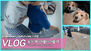 동거 게이커플 소소한일상 VLOG, 우리 형이 아파요 & 소심한 유기견이 애견카페 놀러 간다면? 브이로그