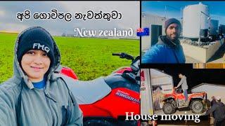 අපි ගොවිපල කරන අවසන් දවස  || Dairy Farming in New Zealand