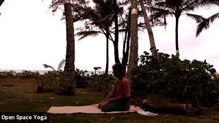 Mary Bastien Basic Yoga in Hawaii