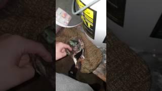 First youtube fishing video