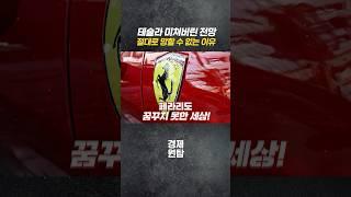 테슬라 미쳐버린 전망, 절대 망할 수 없는 이유 | 강정수 박사 #테슬라 #전기차 #주식 #투자 #2차전지 #경제