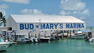 Exploring Bud n' Mary's Marina: The Heart of Islamorada in the Florida Keys