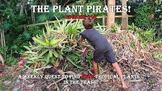 Finding FREE Tropical Plants in the Trash! The Plant Pirates Episode #94