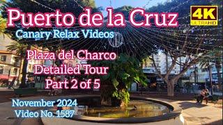 Tenerife ️ Puerto de la Cruz - Plaza del Charco Detailed Tour Part 2 of 5 Teneriffa