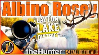 One of Layton's RAREST Trophies! | ALBINO BULL ELK in Call of the Wild!