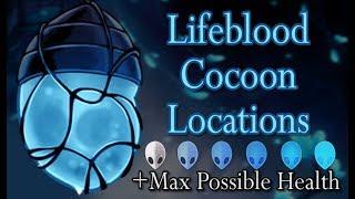 Hollow Knight - Lifeblood (Cocoon Locations + Max Possible Health)