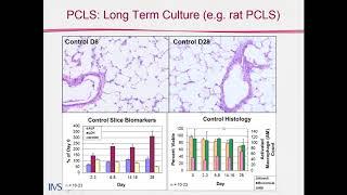 Precision-cut Lung Slices (PCLS) – PETA Science Consortium Webinar