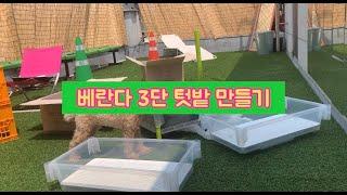 베란다 테라스 텃밭(루꼴라/바질/상추) 만들기 with 시루알라