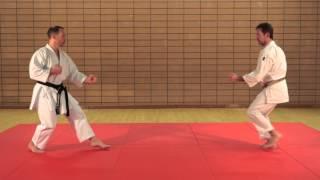 KARATÉ EXPERT - PASSAGE DE GRADES - Jyu Ippon Kumite - 1er dan - Avec Eric Delannoy