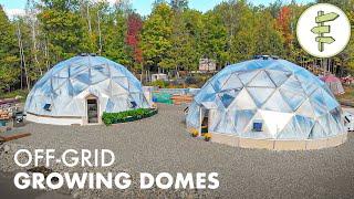 Brilliant Off-Grid Geodesic Greenhouse Perfect for Homesteading & 4 Season Food Production