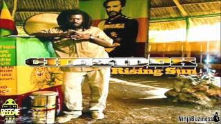 CHEZIDEK - RASTAFARI KNOWS (OPERATION RADICATION RIDDIM)