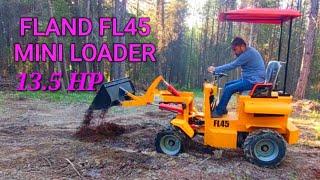 CHEAP CHINA ARTICULATED MINI LOADER FROM AN AUCTION PRESENTATION.Review after the first month Fl45