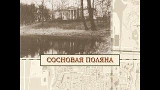 Сосновая Поляна: малые родины большого Петербурга