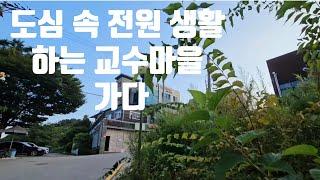 도심 속 전원 생활하는 교수마을 가다