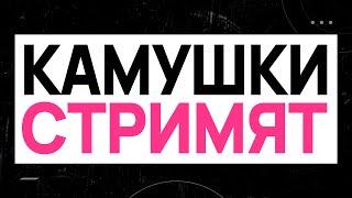 Джохан похан