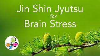 Jin Shin Jyutsu for Brain Stress