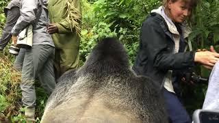 ENCUENTROS CON ANIMALES SALVAJES