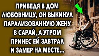 Ночь В Сарае / Увлекательная История / Мир Вокруг