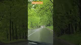 Во Владивостоке лето. узнай место где это. #БлогВладивосток ищи в телеграмм и вк и рт и дзен