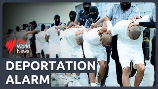 US deportations slipping into ‘constitutional crisis’, lawyers warn