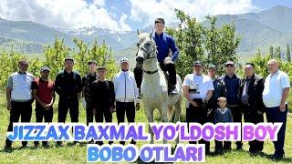 JIZZAX BAXMAL YOʻLDOSH BOY BOBO OTLARI