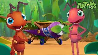 Ants ready to depart NEW EPISODE!!!| Funny Cartoons | Funny Videos for kids | ANTIKS 