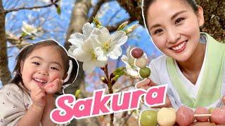 SAKURA dumplings! | Spring Japanese Sweets