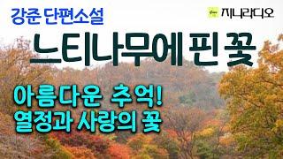 30년 전 열정과 사랑으로 교단의 아름다운 추억을 간직한 그녀에게, 불명예 퇴직의 전화위복이 되어 행복한 고민에 빠지는데~/ 강준 '느티나무의 꽃'/ 지니라디오/ 오디오북