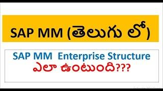 SAP MM Enterprise structure  (తెలుగు లో) | SAP MM Course in telugu| MM videos| MM training in Telugu
