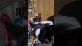 Musí mít v lednici kameru, aby jí to někdo nesebral 