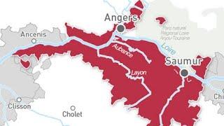 S2 Ep41 Anjou, Loire’s most underrated appellation?