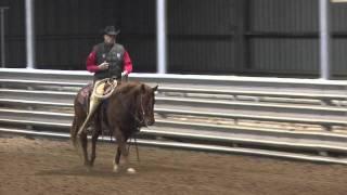 Stock Horse of Texas (SHOT) Judge's Corner: Stock Horse Pleasure