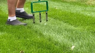 AERATE YOUR LAWN THE RIGHT WAY! The Landzie Fork Aerator - too FORKIN' good!!!