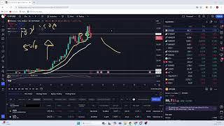 BULL RUN CRYPTO  PRICE PREDICTIONS EDUCATION STREAM