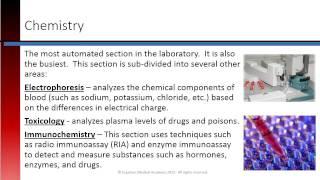 Phlebotomy Lesson 1.6 Clinical Lab Sections